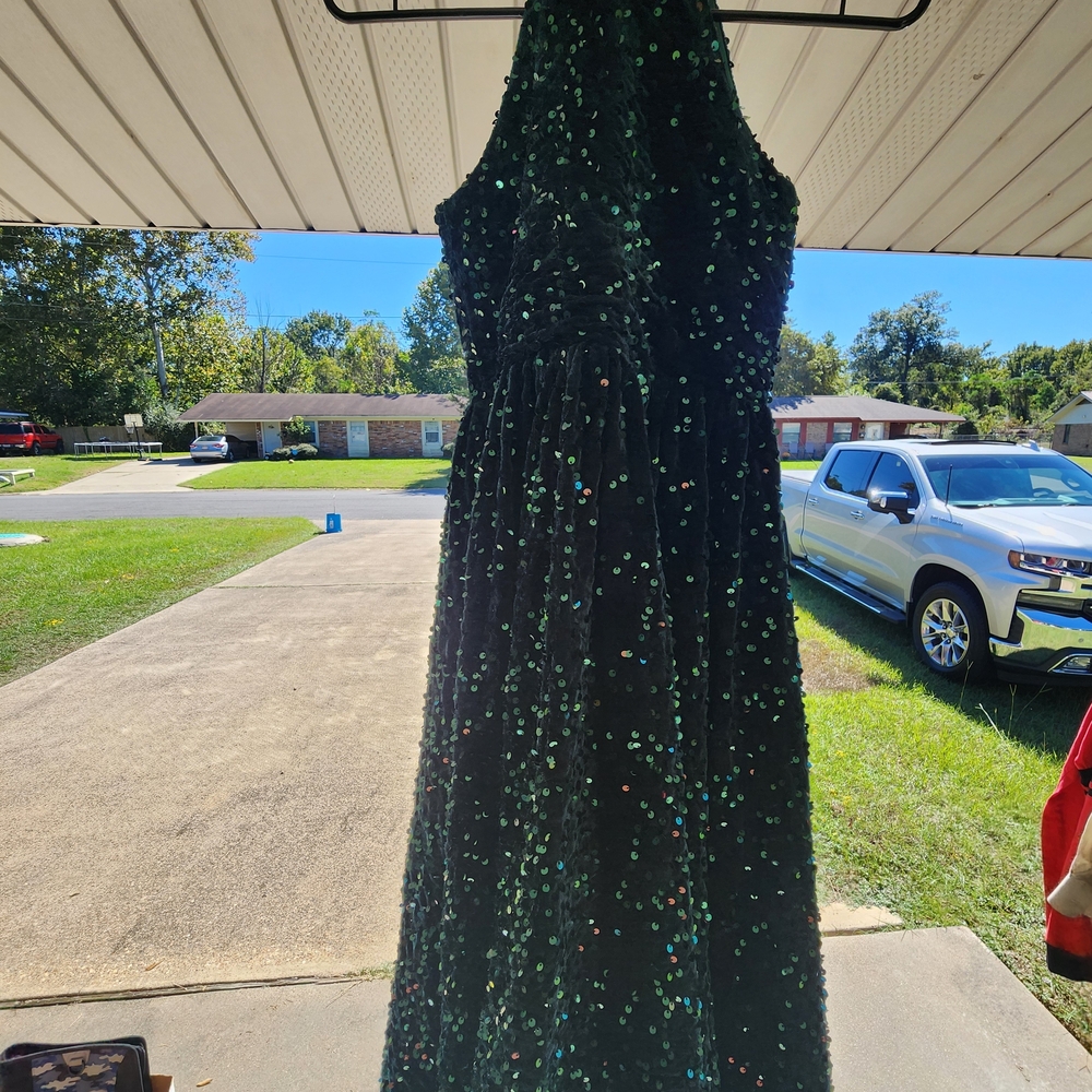 Green Sequin Dress